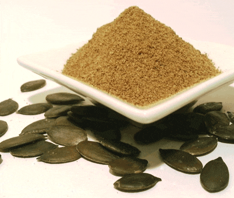 Styrian Gold Poudre de protéines de graines de citrouille 500g