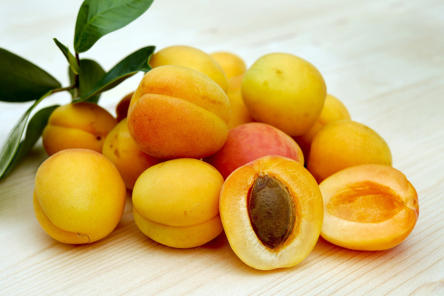Blenheim Abricot Balsamique Blanc