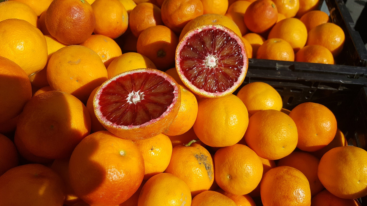 Blood Orange Fused Olive Oil