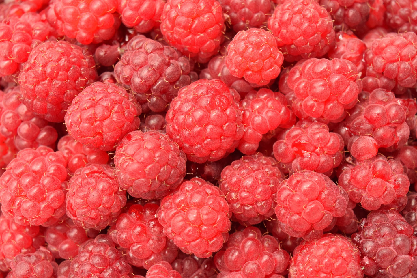Cascadian Balsamique Blanc Framboise Sauvage
