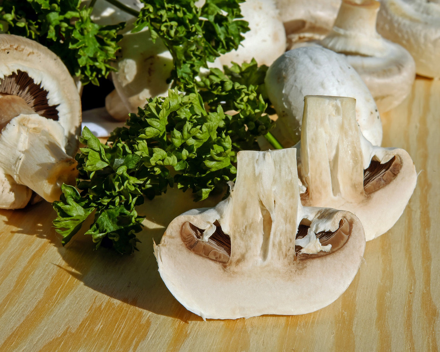 Mushroom Sage Olive Oil