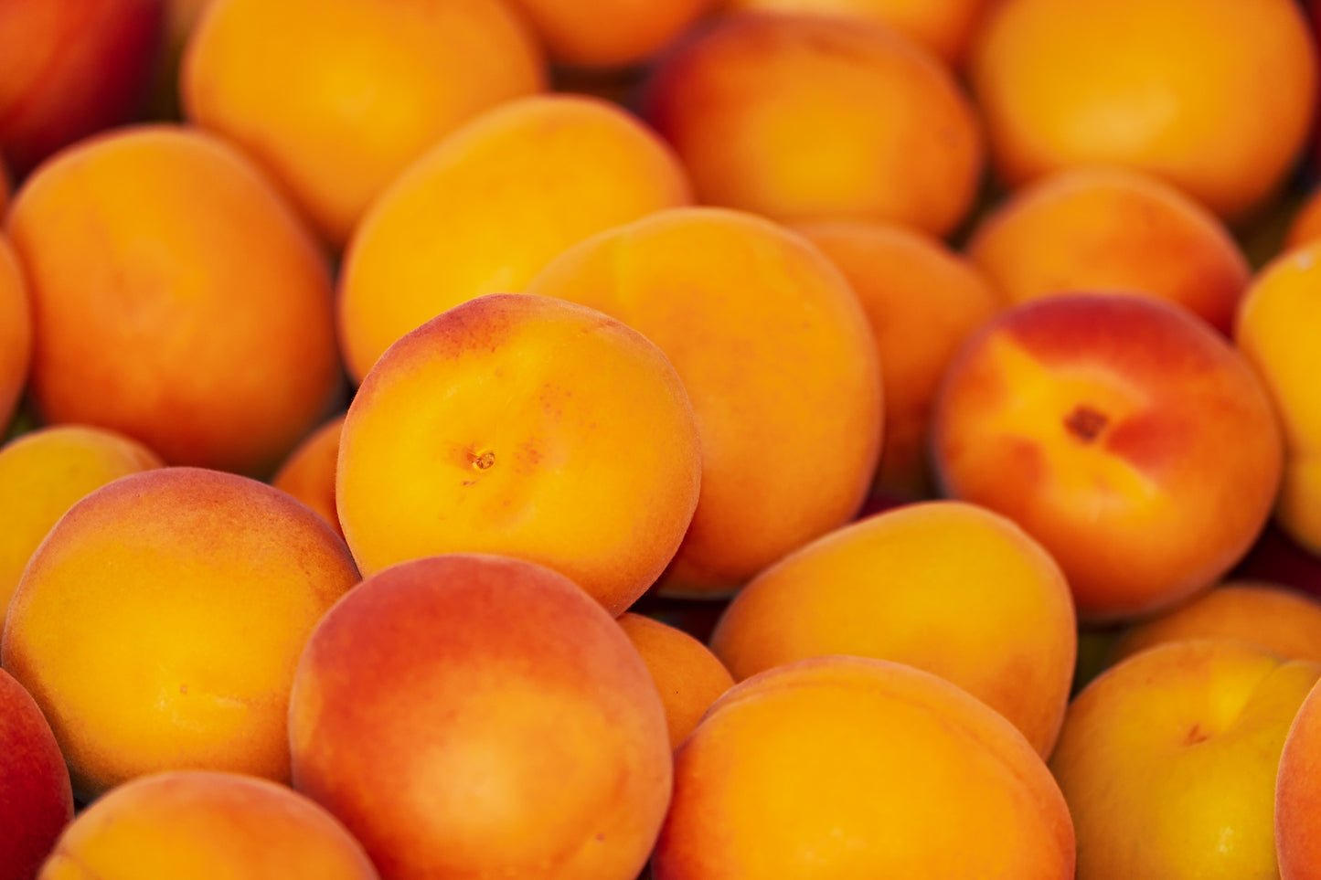 Pêche Balsamique Blanc