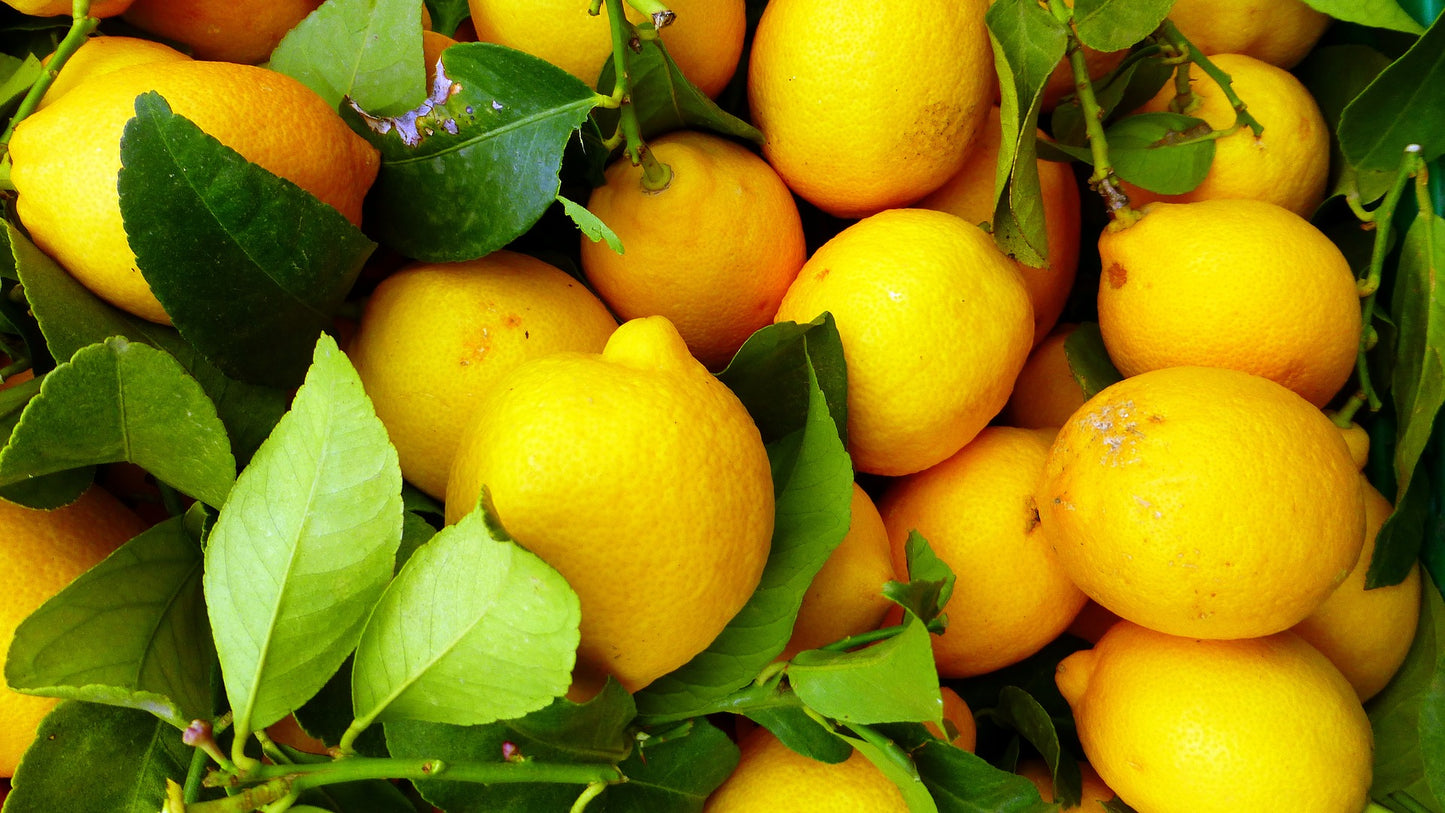 Balsamique blanc au citron de Sicile