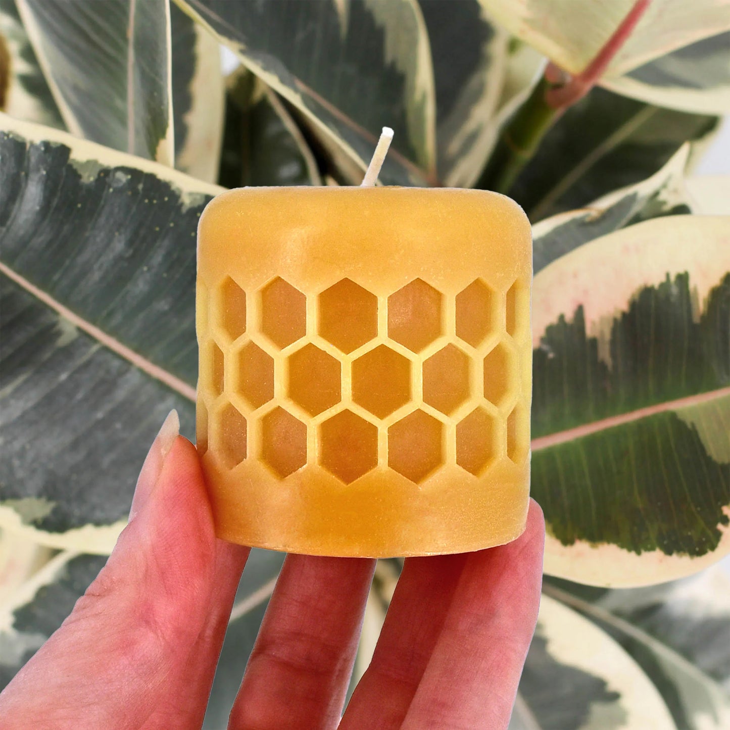 Honey Candles Lattice Pillar